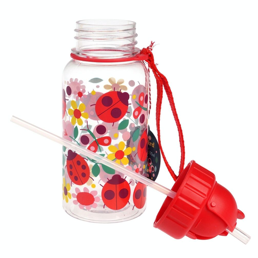 gourde enfant rouge coccinelle